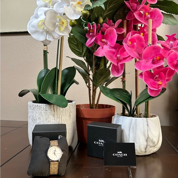 Coach Watch - Picture 4 of 13